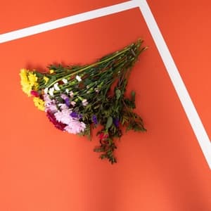 Missing You / Something About Your Love (Remixes)