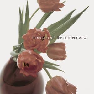 The Amateur View