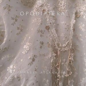 Opodiptera