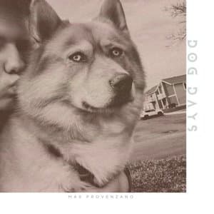 Dog Days