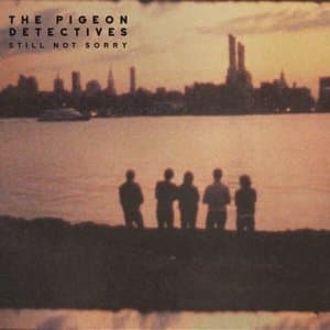 Still Not Sorry  (The Best Of The Pigeon Detectives)