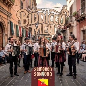 Biddiccu meu