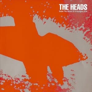 Under The Stress Of A Headlong Dive