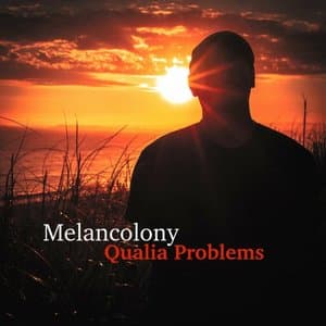 Qualia Problems