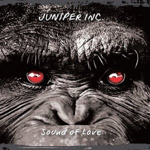 Sound Of Love