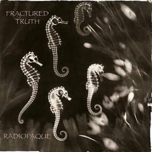 Radiopaque