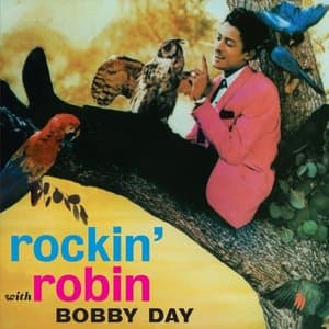 Rockin Robin (Bonus Track Version)