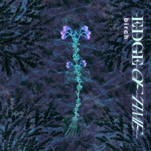 Edge of Time
