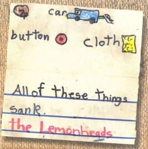 Car Button Cloth