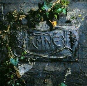 The Black Album