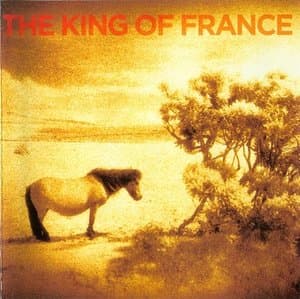 The King of France