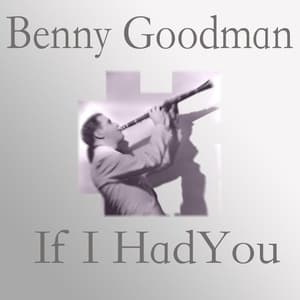 If I Had You