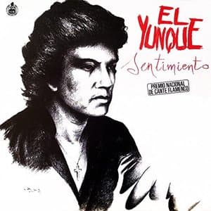 Sentimiento