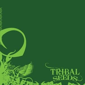 Tribal Seeds