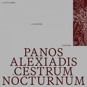 Cestrum Nocturnum