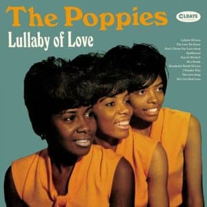 Lullaby Of Love