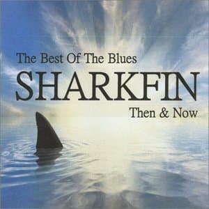 The Best Of The Blues: Then & Now