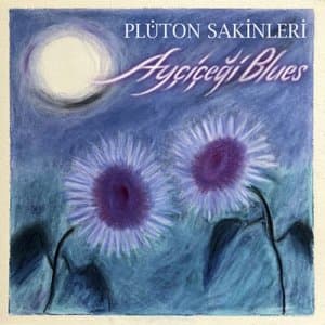 Aycicegi Blues