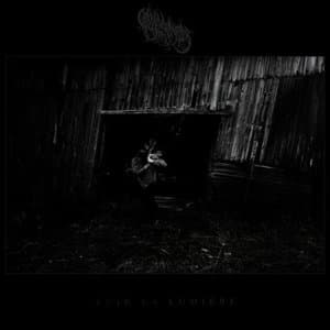 Voir la lumiere