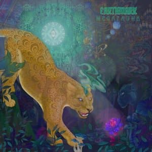 Megafauna