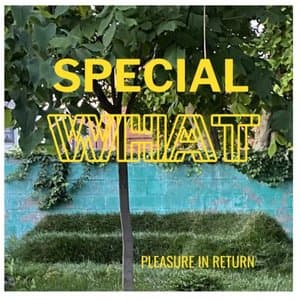 Pleasure in Return