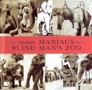 Blind Mans Zoo