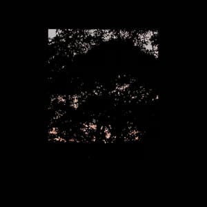Soft Sighing Dusk I Never See You