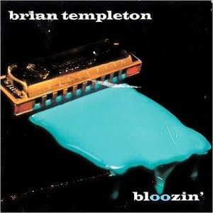 Bloozin