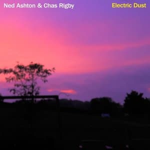 Electric Dust