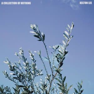 A Collection Of Nothing