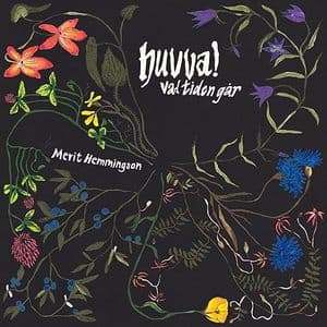 Huvva! vad tiden gar