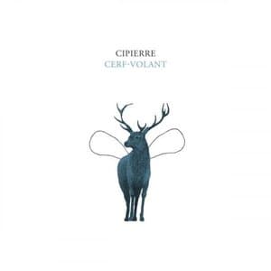 Cerf-volant