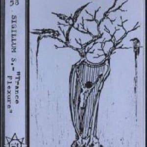 Trance Flexure