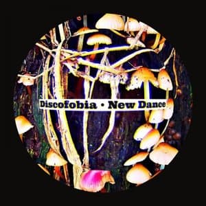 New Dance