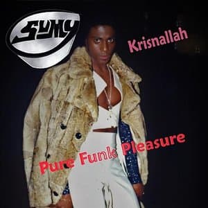 Pure Funk Pleasure