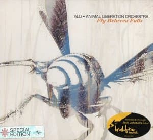 Fly Between Falls