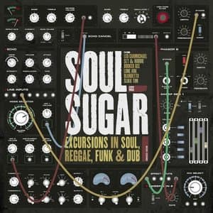 Excursions In Soul Reggae Funk and Dub