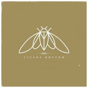 Cicada Rhythm