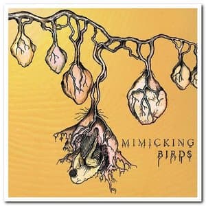 Mimicking Birds