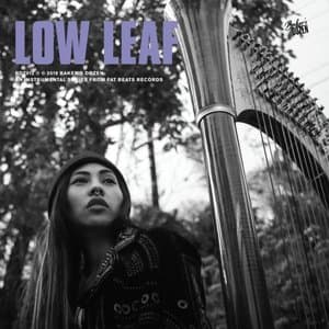 Bakers Dozen: Low Leaf