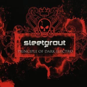 Principle Of Dark Electro