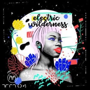 Electric Wilderness