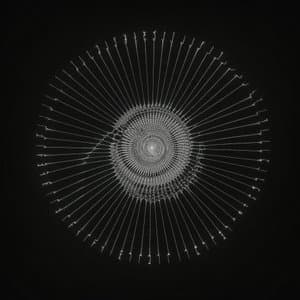 C()D3X