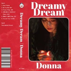Dreamy Dream
