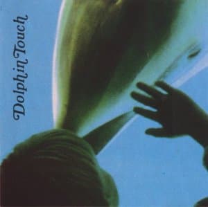 Dolphin Touch