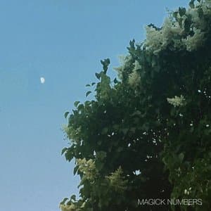 Magick Numbers