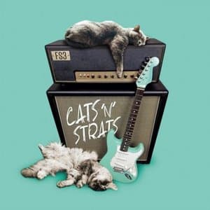 Cats n Strats