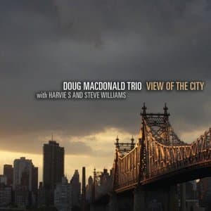 View of the City (feat. Harvie S and Steve Williams)