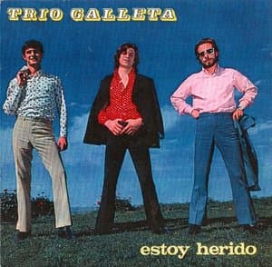 Estoy Herido