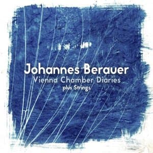 Vienna Chamber Diaries Plus Strings